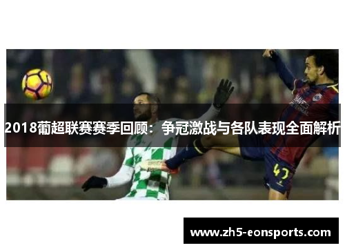 2018葡超联赛赛季回顾：争冠激战与各队表现全面解析