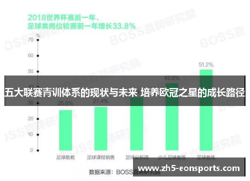 五大联赛青训体系的现状与未来 培养欧冠之星的成长路径