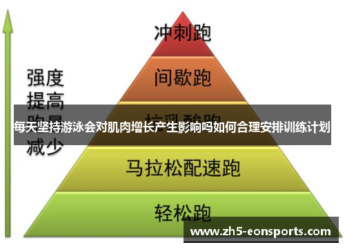 每天坚持游泳会对肌肉增长产生影响吗如何合理安排训练计划