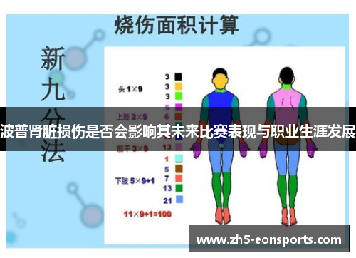 波普肾脏损伤是否会影响其未来比赛表现与职业生涯发展