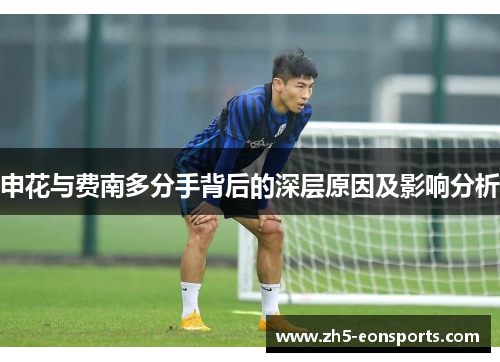 申花与费南多分手背后的深层原因及影响分析