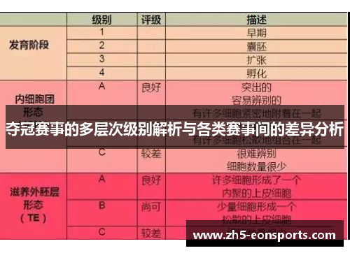 夺冠赛事的多层次级别解析与各类赛事间的差异分析