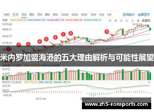 米内罗加盟海港的五大理由解析与可能性展望