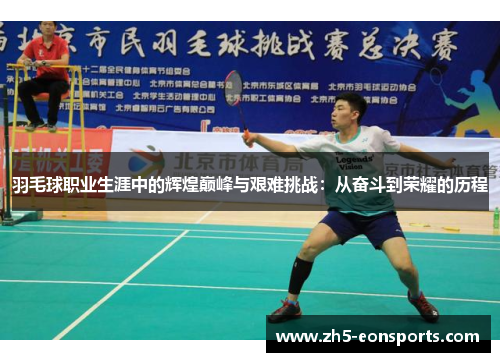 羽毛球职业生涯中的辉煌巅峰与艰难挑战：从奋斗到荣耀的历程