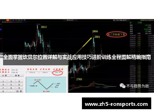 全面掌握坎贝尔位置详解与实战应用技巧进阶训练全程图解精编指南